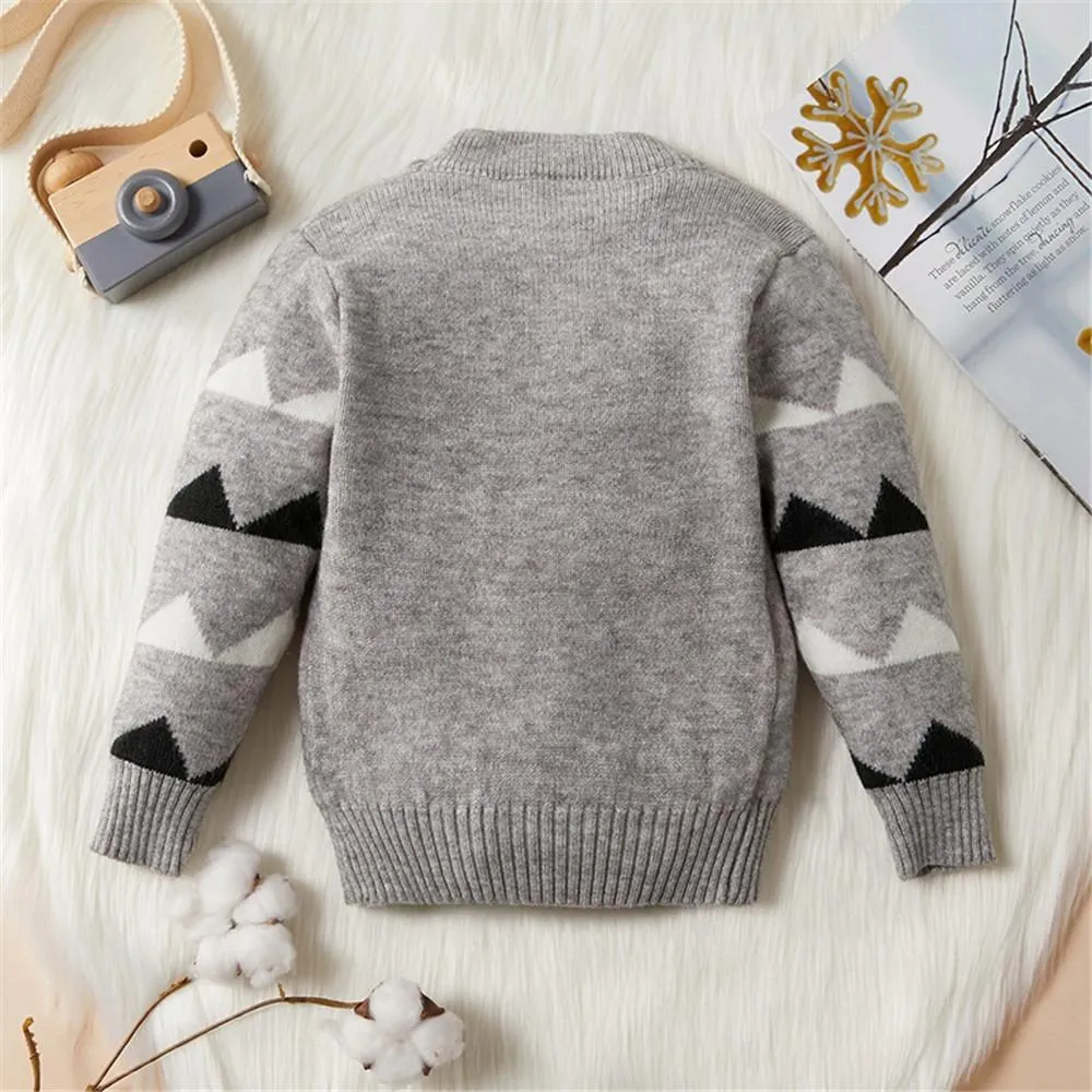 Boys Long Sleeve Dinosaur Sweaters
