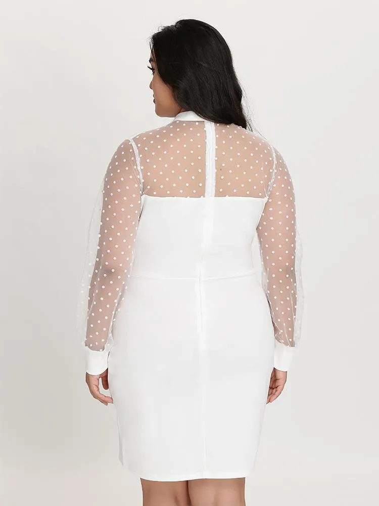 Mesh Dot Patchwork Dress zanus