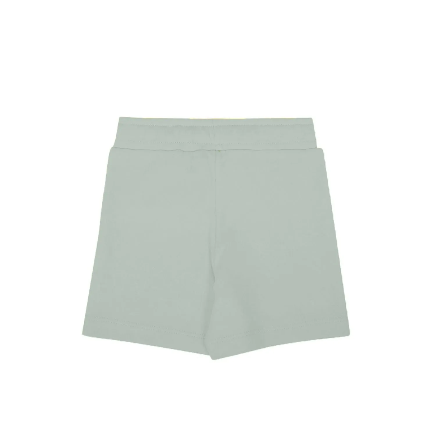 My Milestones Shorts Boys Sage Green / Yellow - 2 Pc Pack